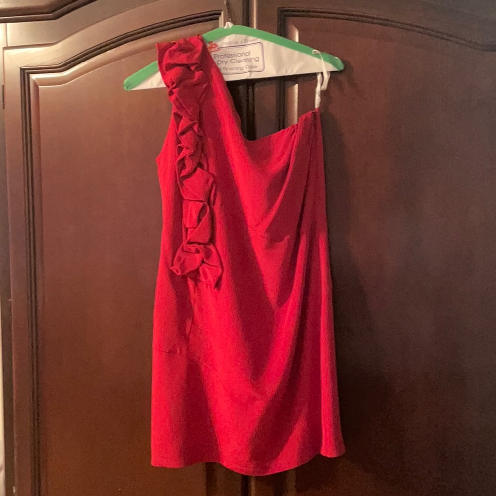 Karina Grimaldi 100% silk, one should, red dress